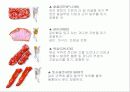 축산식품과 건강 11페이지