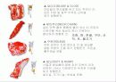 축산식품과 건강 12페이지