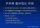 우유에 관한 발표자료 10페이지
