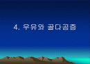 우유에 관한 발표자료 23페이지