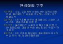 단백질[protein]과 아미노산[amino acid] 7페이지