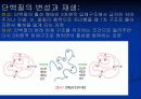 단백질[protein]과 아미노산[amino acid] 11페이지