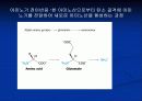 단백질[protein]과 아미노산[amino acid] 21페이지