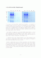  Affinity chromatography 3페이지