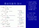 Lipids(지질)에 관한 조사자료  34페이지