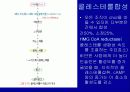 Lipids(지질)에 관한 조사자료  35페이지
