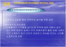 한류의 자화상 5페이지