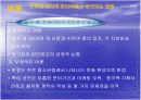 한류의 자화상 6페이지