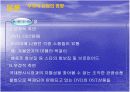 한류의 자화상 11페이지