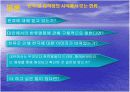 한류의 자화상 13페이지