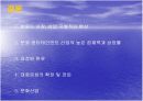 한류의 자화상 15페이지