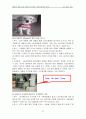 웅진 케어스의 브랜드 마케팅 전략. 23페이지