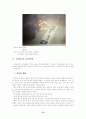 몬테소리 프로그램 18페이지