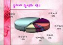 동아리 활동에 대한  학생들의 의식조사 11페이지