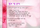 동아리 활동에 대한  학생들의 의식조사 25페이지