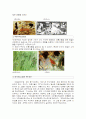  공업 디자인 (19c말~20c말까지의 디자인의 흐름) 9페이지