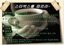 글로벌 기업-스타벅스 20페이지