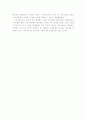 사우스웨스트 항공사의 차별화 전략 3페이지