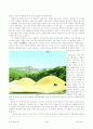 경주 문화 유산 답사기 5페이지