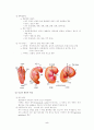 수정과 출산 6페이지