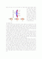 신체체계(신경계,근골격계....) 23페이지