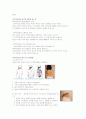 척추측만증의 원인과 치료 4페이지