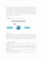 청소년비행과 교정사회사업에 관하여 13페이지
