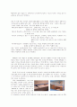 리빙 디자인 페어 2페이지
