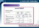 스와치의 브랜드 전략(하바드 비지니스 리뷰 보고 작성) 13페이지