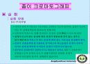 종이 크로마토그래피(프레젠테이션) 11페이지