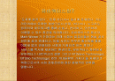 유비쿼터스 조사 파워포인트자료 2페이지