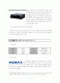 수출중소기업의 성공 및 실패사례 분석 5페이지