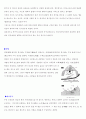 풍수의 본질은 무엇인가? 3페이지