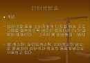 뉴미디어로서의 교육방송 3페이지