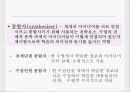 정교화 이론 8페이지