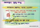 에버랜드의 서비스 전략 4페이지