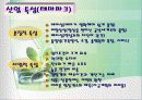 에버랜드의 서비스 전략 8페이지