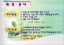 에버랜드의 서비스 전략 9페이지