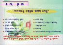 에버랜드의 서비스 전략 12페이지