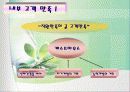 에버랜드의 서비스 전략 24페이지
