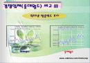 에버랜드의 서비스 전략 34페이지