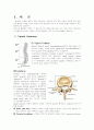 HLD(herniated lumbar disc) 3페이지