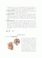 HLD(herniated lumbar disc) 4페이지
