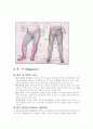 HLD(herniated lumbar disc) 7페이지