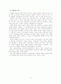 선진국가의 지방정부 혁신 사례 분석 및 선진경영혁신기법 활용방안 28페이지