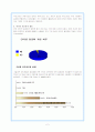 인터넷 문화 - 인터넷 동호회, 싸이월드(미니홈피), 블로그, 지식검색 2페이지
