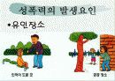 성폭력 발표자료 8페이지