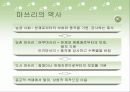 일본의 축제 마쓰리의 사회적 기능과 역할(ppt) 3페이지