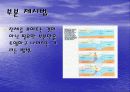 OHP의 교육적 활용 10페이지