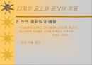 영상디자인 15페이지